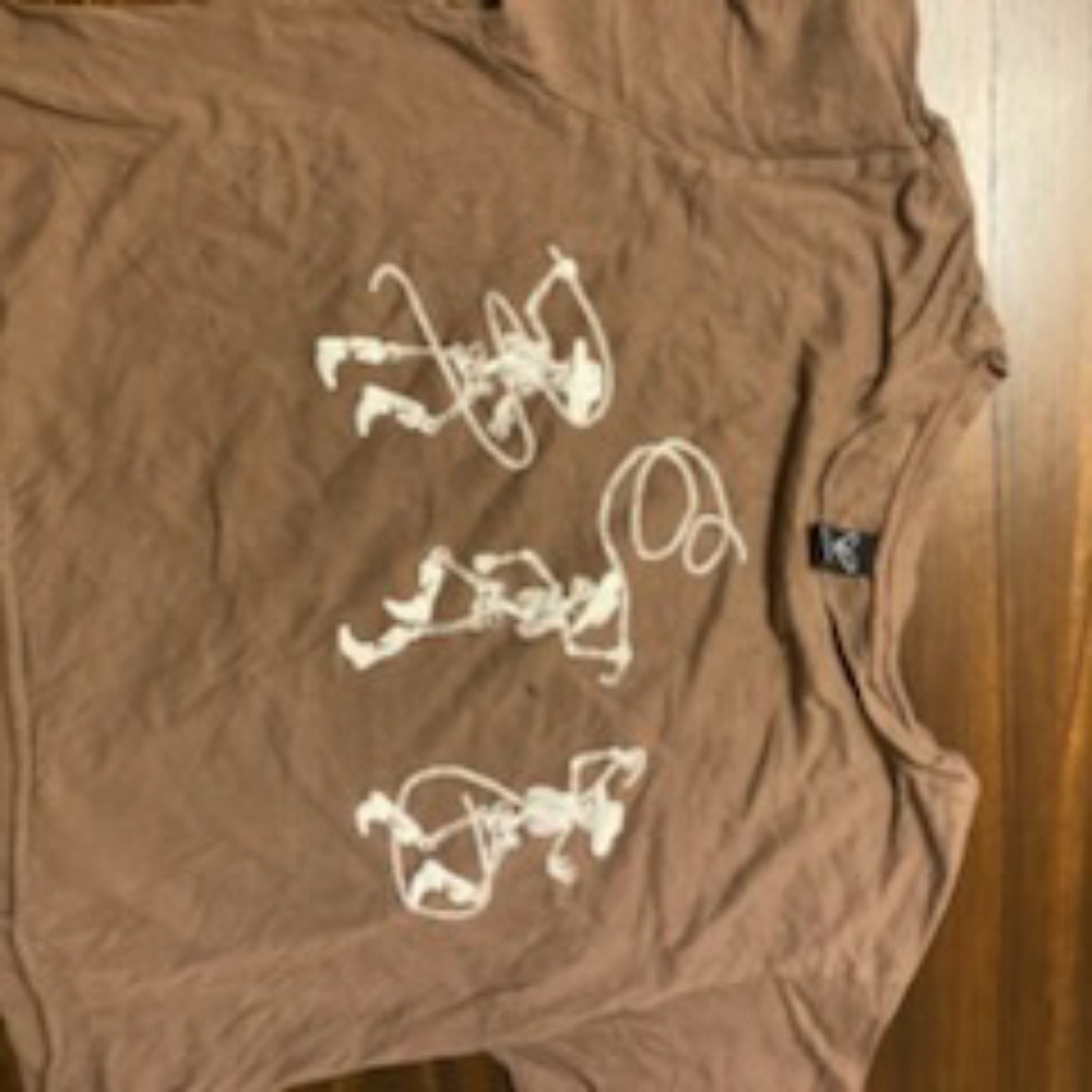 Windsor cowboy crop top